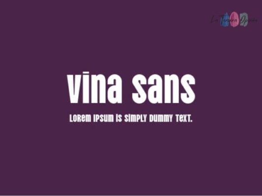 VINA TrueType Font